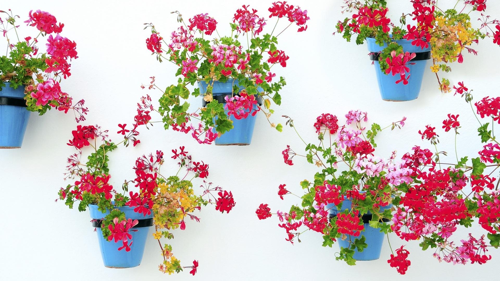 Nybyggnad - Lägenhet - Mijas - La Noria Golf