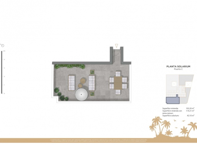 Neubau - Wohnung - Guardamar del Segura - Pueblo