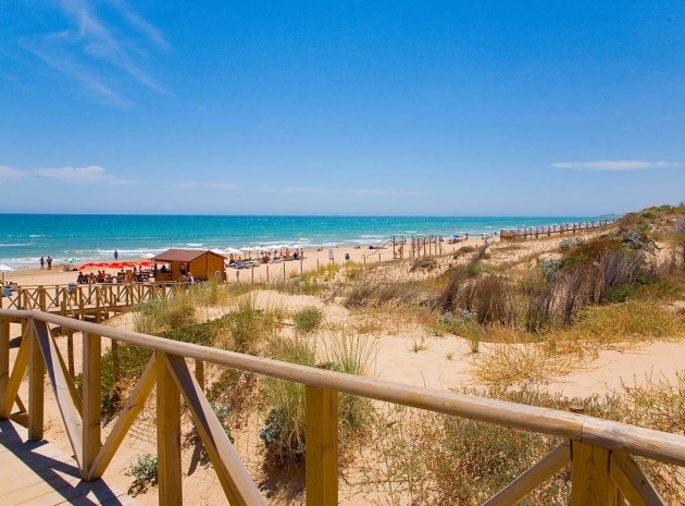 Neubau - Wohnung - Guardamar del Segura - Pueblo