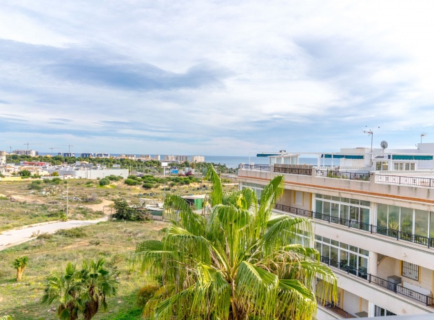 Resale - Apartment - Playa Flamenca - la mirada