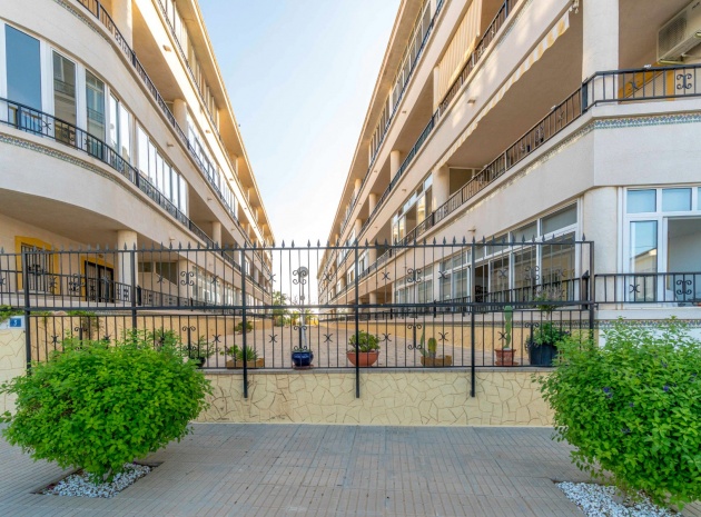 Resale - Apartment - Playa Flamenca - la mirada