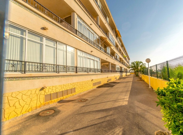 Resale - Apartment - Playa Flamenca - la mirada