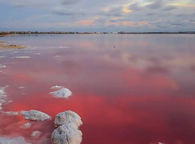 Nouvelle construction - Appartement - Torrevieja - Lago Jardin