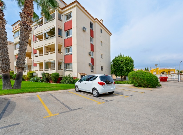 Revente - Appartement - Playa Flamenca - jumilla