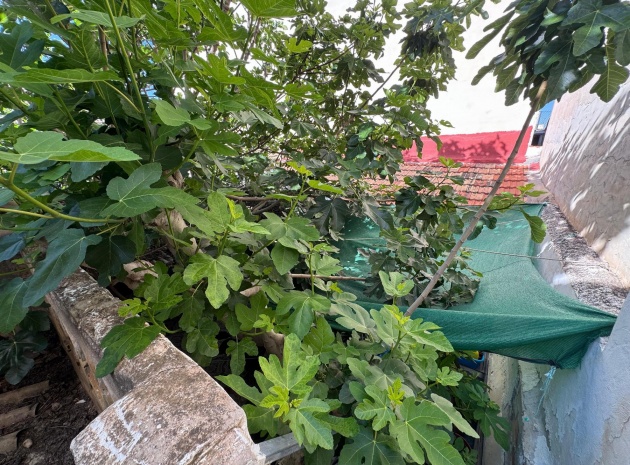 Revente - Appartement - Benejuzar - benejuzar