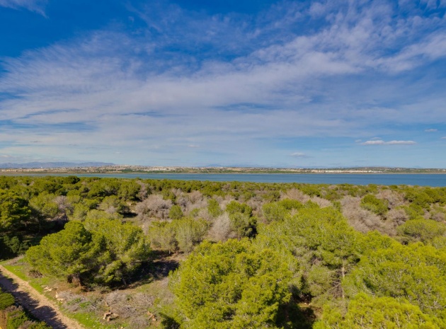 Wiederverkauf - Wohnung - Torrevieja - san luis