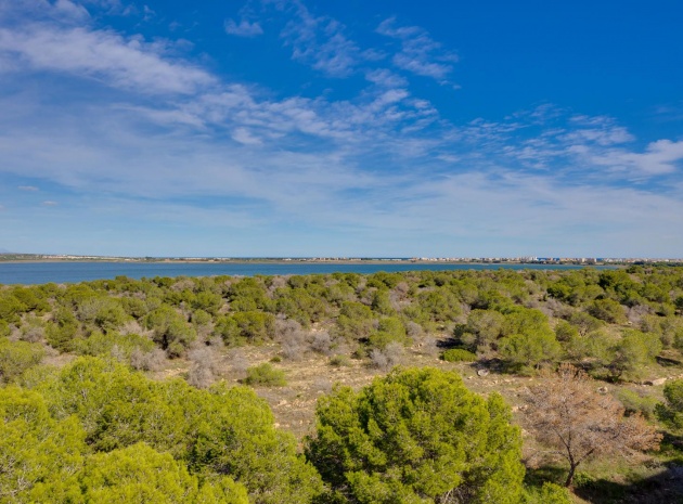 Wiederverkauf - Wohnung - Torrevieja - san luis