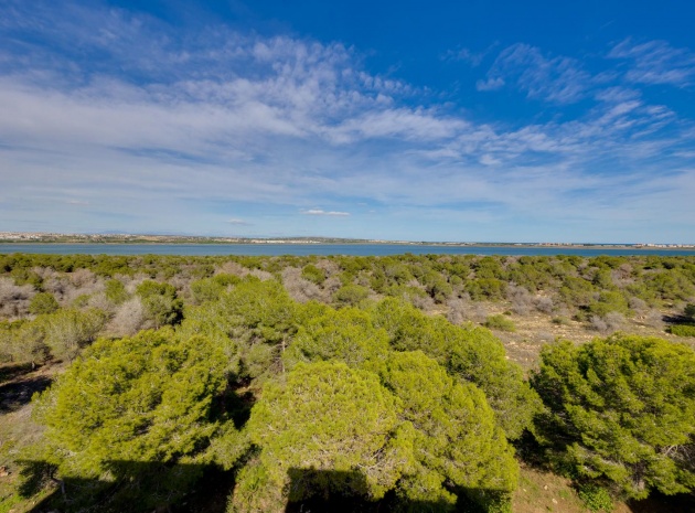 Wiederverkauf - Wohnung - Torrevieja - san luis