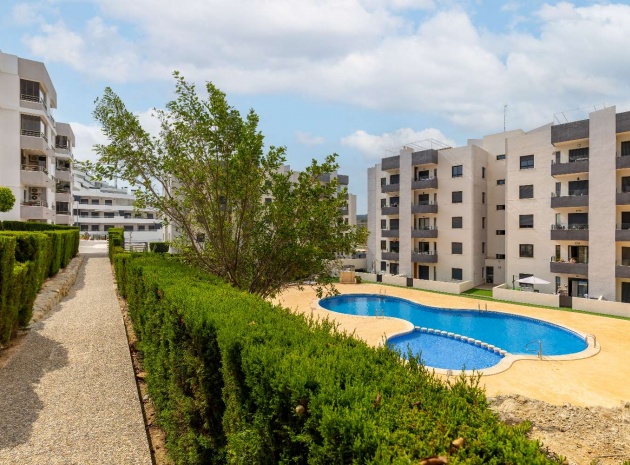 Resale - Apartment - San Miguel de Salinas - Res. Angelina
