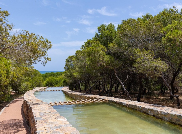 Wiederverkauf - Stadthaus - La Mata - Beachside La Mata