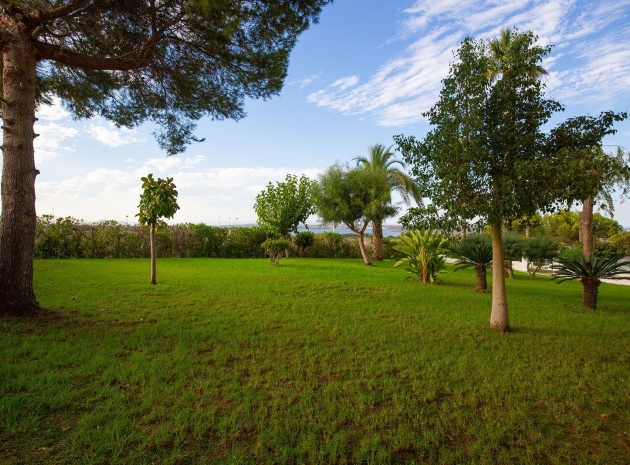 Revente - Appartement - Torrevieja - Torreblanca