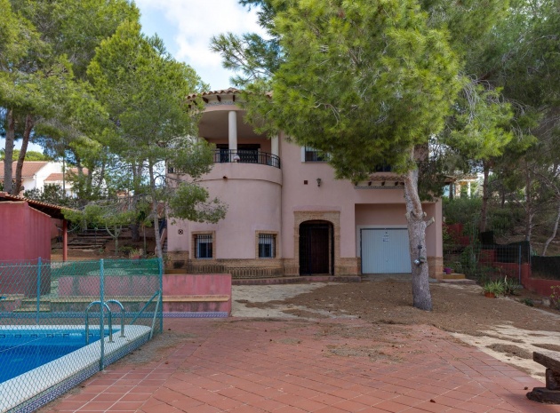 Resale - Villa - San Miguel de Salinas - las comunicaciones