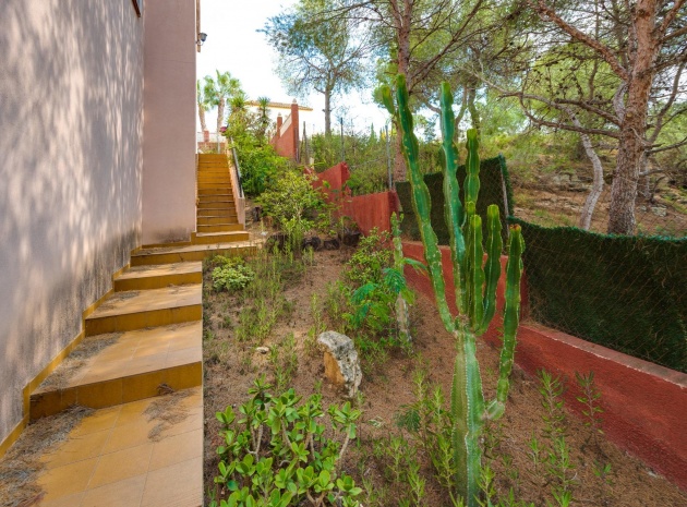 Resale - Villa - San Miguel de Salinas - las comunicaciones