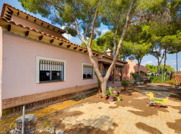 Resale - Villa - San Miguel de Salinas - las comunicaciones