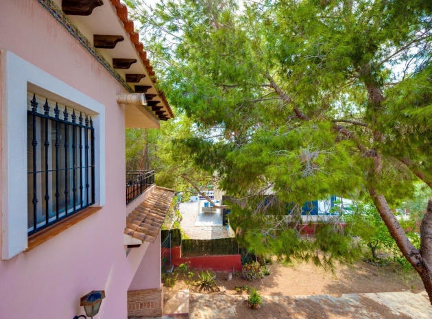 Resale - Villa - San Miguel de Salinas - las comunicaciones