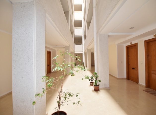 Revente - Appartement - La Mata