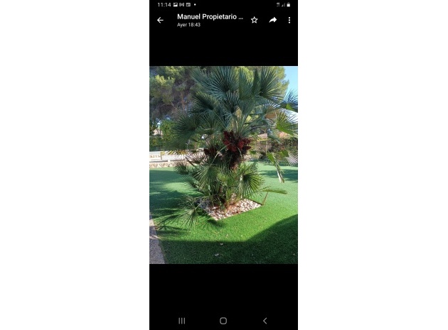 Resale - Villa - Campoamor - Beachside Campoamor