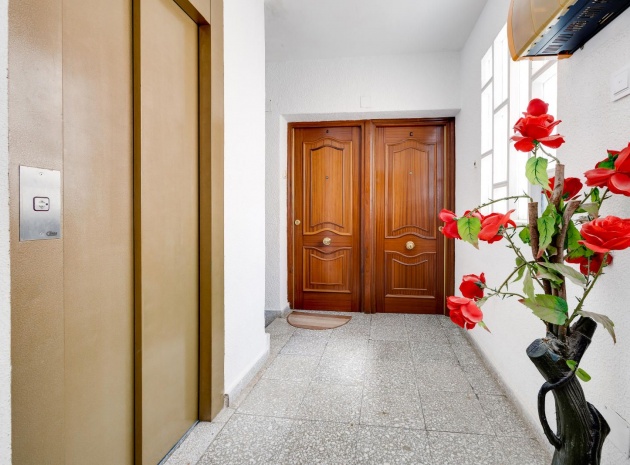 Revente - Appartement - Punta Prima - beachside punta prima