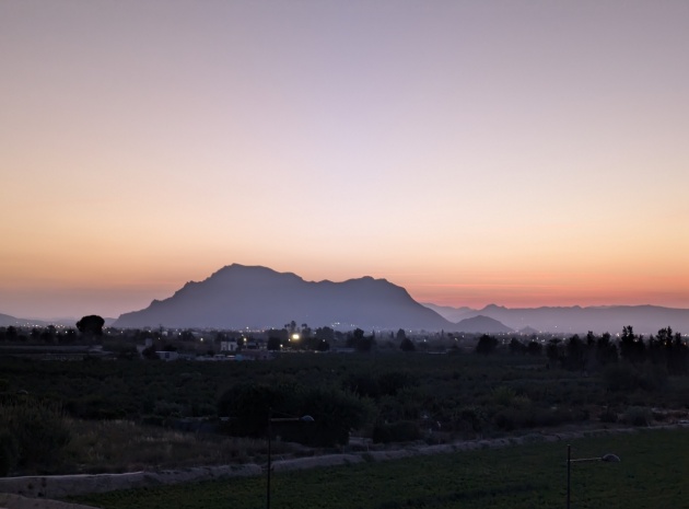 Revente - Appartement - Algorfa - res cecilia