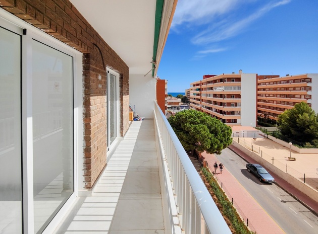 Wederverkoop - Appartement - Punta Prima - rocio del mar