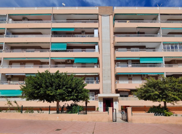 Wederverkoop - Appartement - Punta Prima - rocio del mar