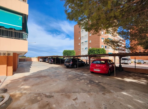 Wederverkoop - Appartement - Punta Prima - rocio del mar