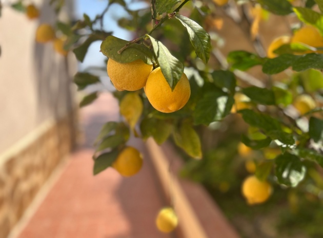 Wiederverkauf - Villa - Algorfa - Lomas de La Juliana