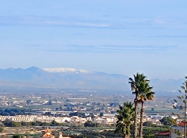 Wiederverkauf - Villa - Algorfa - Lomas de La Juliana