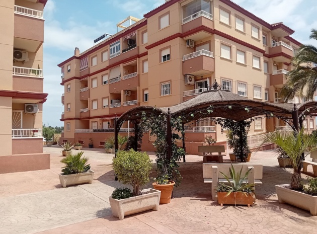 Wederverkoop - Appartement - Algorfa - res cecilia