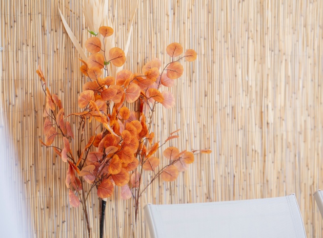 Wederverkoop - Appartement - Punta Prima - rocio del mar