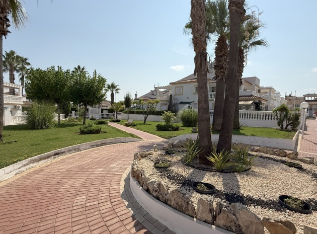 Wederverkoop - Appartement - Playa Flamenca - zeniamar