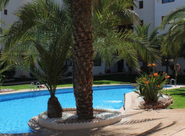 Wiederverkauf - Wohnung - Punta Prima - la entrada