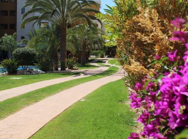 Wiederverkauf - Wohnung - Punta Prima - la entrada