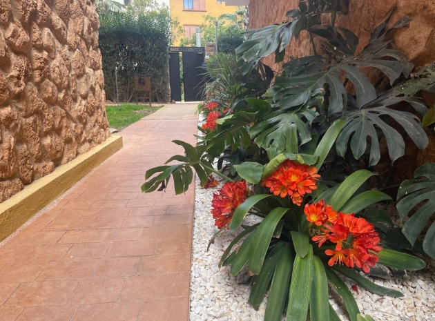 Resale - Apartment - Punta Prima - La Recoleta