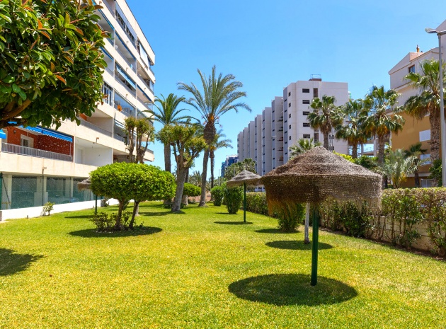 Resale - Apartment - Punta Prima - rocio del mar