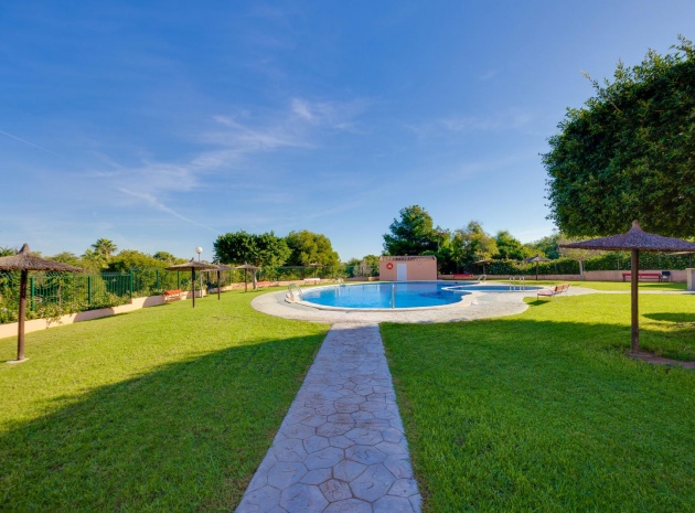 Revente - Appartement - Los Altos - dream hills