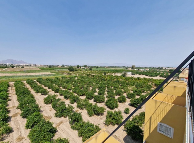 Resale - Apartment - Daya Nueva