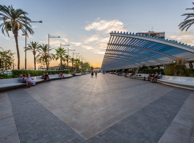 Resale - Apartment - Torrevieja - Beachside Torrevieja