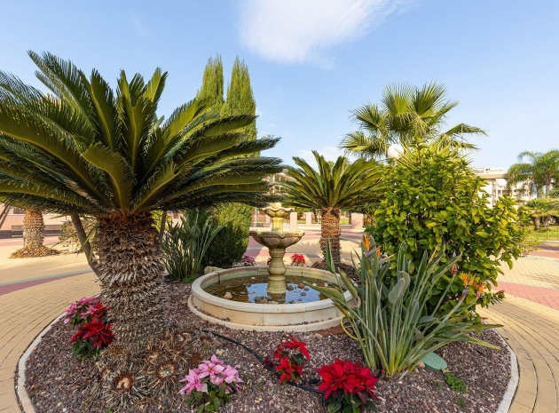 Återförsäljning - Lägenhet - Playa Flamenca - Laguna Golf
