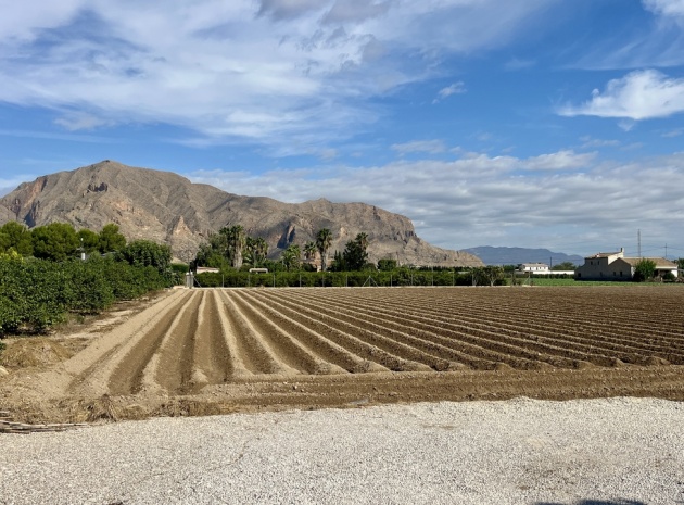 Resale - Villa - Orihuela - orihuela