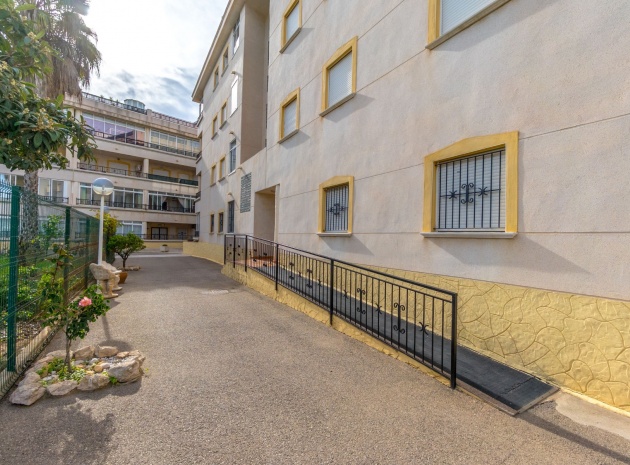 Revente - Appartement - Playa Flamenca - la mirada