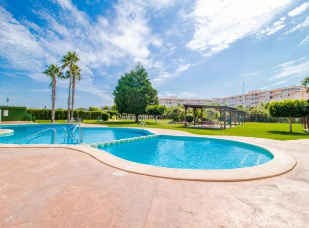 Resale - Apartment - Torrevieja - parque del naciones