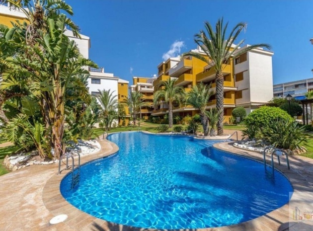 Wederverkoop - Appartement - Punta Prima - la entrada