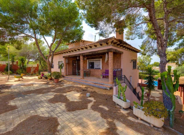 Wederverkoop - Villa - San Miguel de Salinas - las comunicaciones