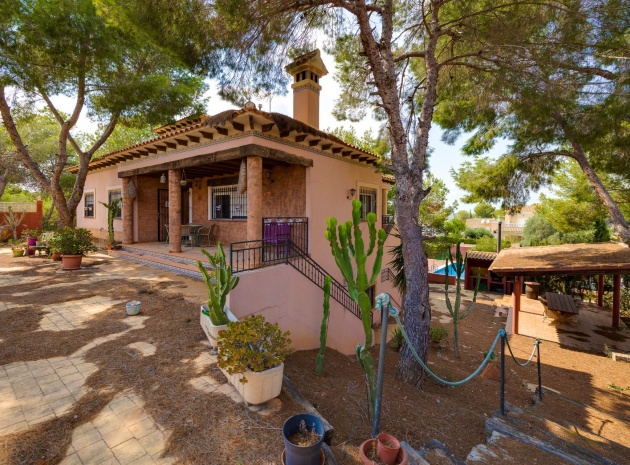 Wederverkoop - Villa - San Miguel de Salinas - las comunicaciones