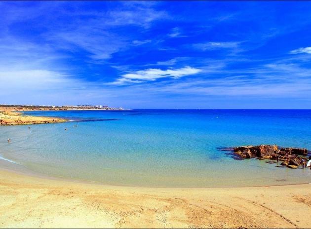 Återförsäljning - Lägenhet - Playa Flamenca - el bosque
