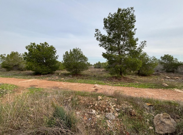 Wiederverkauf - Wohnung - Torrevieja - la siesta
