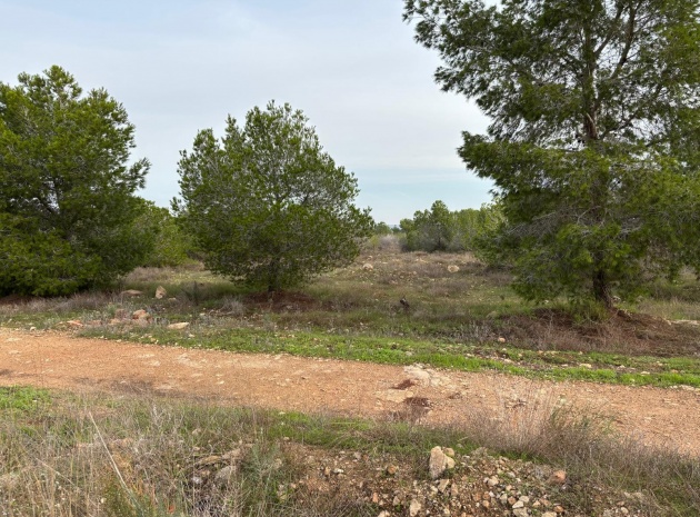 Wiederverkauf - Wohnung - Torrevieja - la siesta
