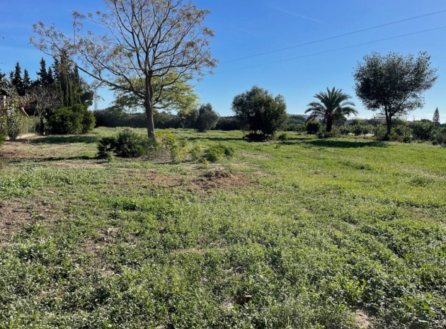 Resale - Country Property - Daya Nueva