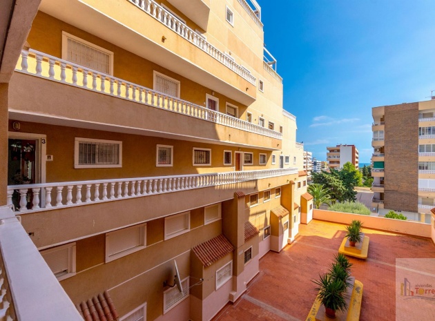 Resale - Apartment - Punta Prima - beachside punta prima